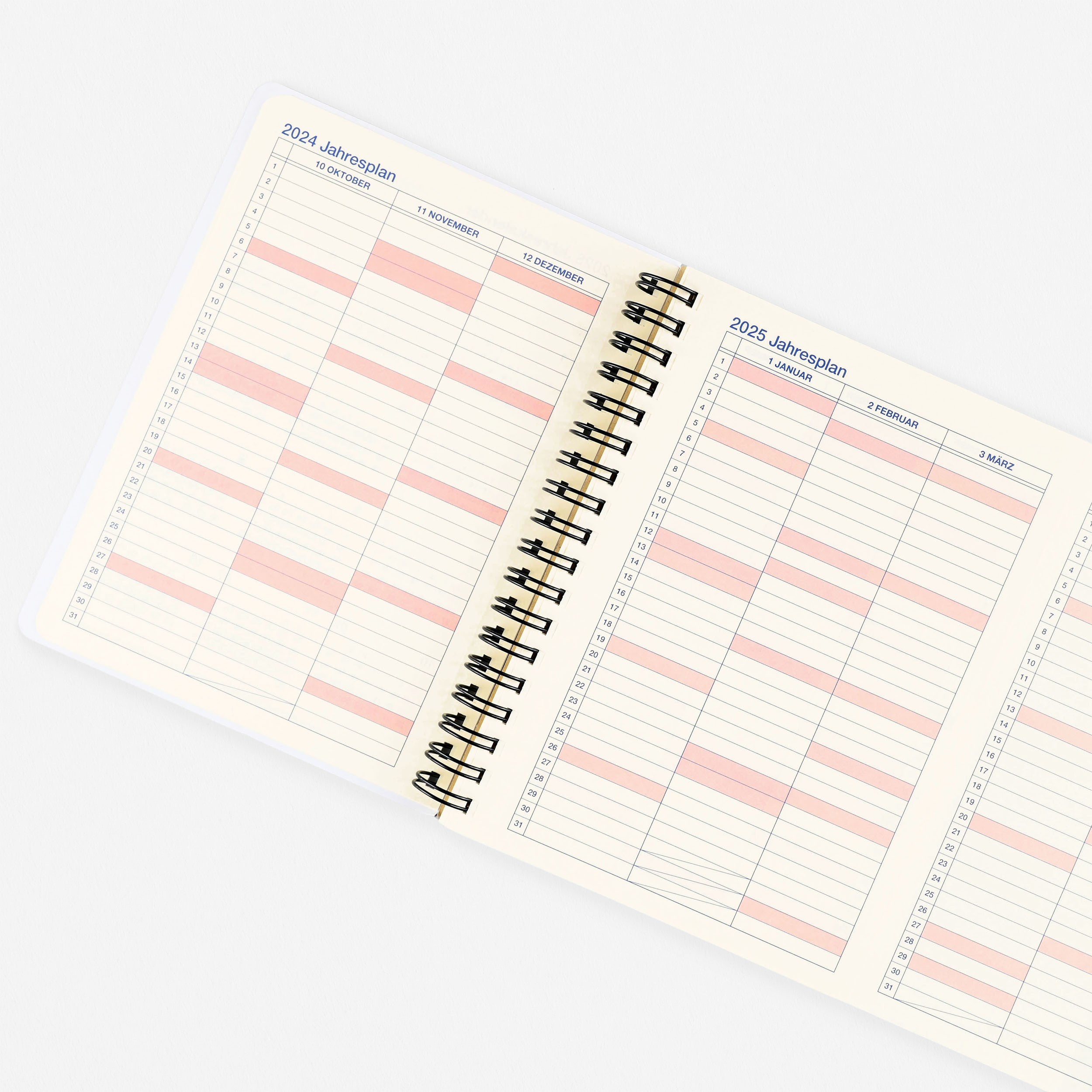 Delfonics Rollbahn 2025 Monthly Planner Blue | Large, A5 Or Extra Large