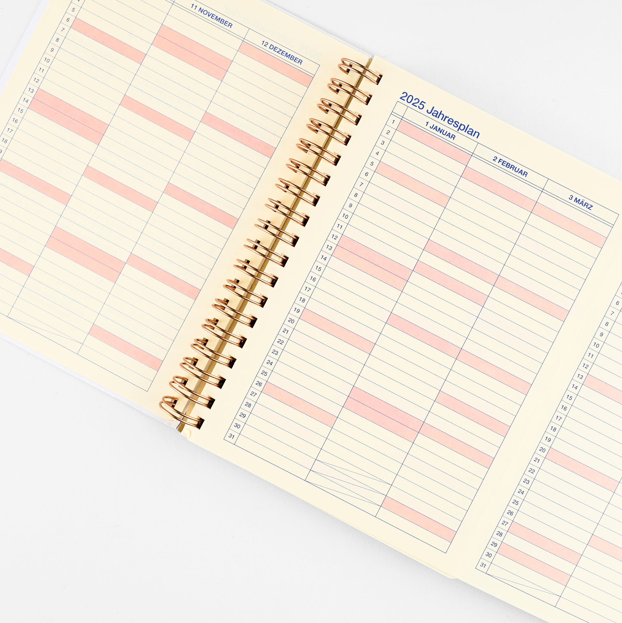 Delfonics Rollbahn 2025 Homme Monthly Planner Dark Blue | Large Or A5