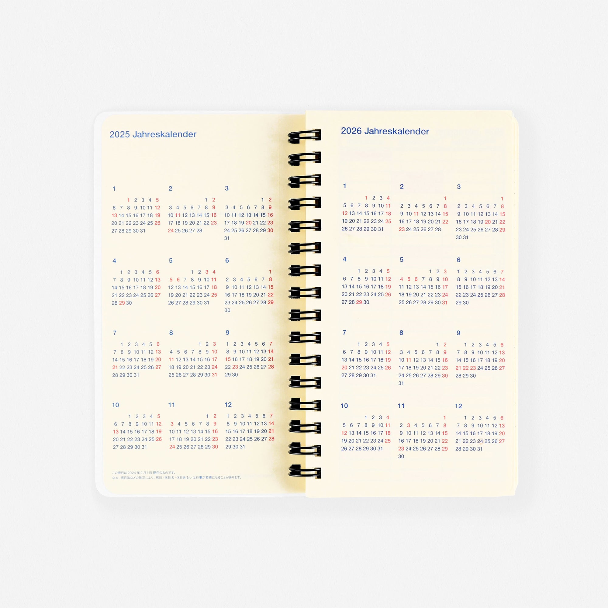 Delfonics Rollbahn 2025 Slim Monthly Planner Blue