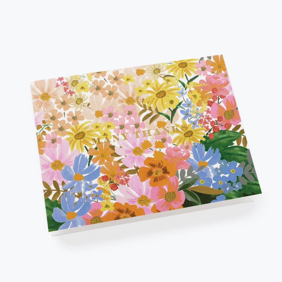 Rifle Paper Co. Marguerite Folded Thank You Cards Boxed