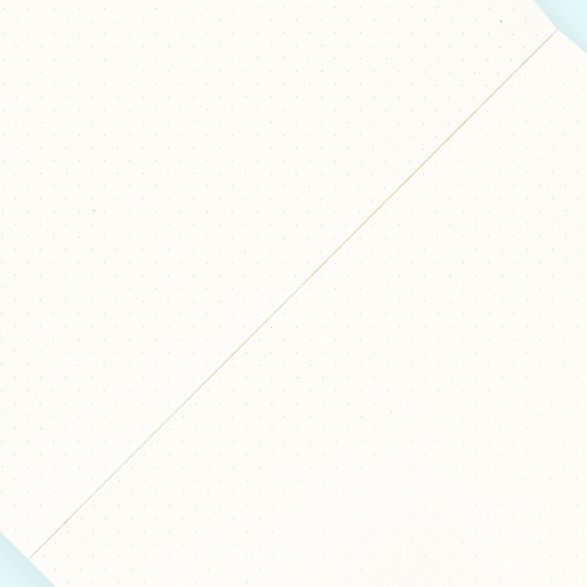 Midori MD Notebook Dot Grid A5