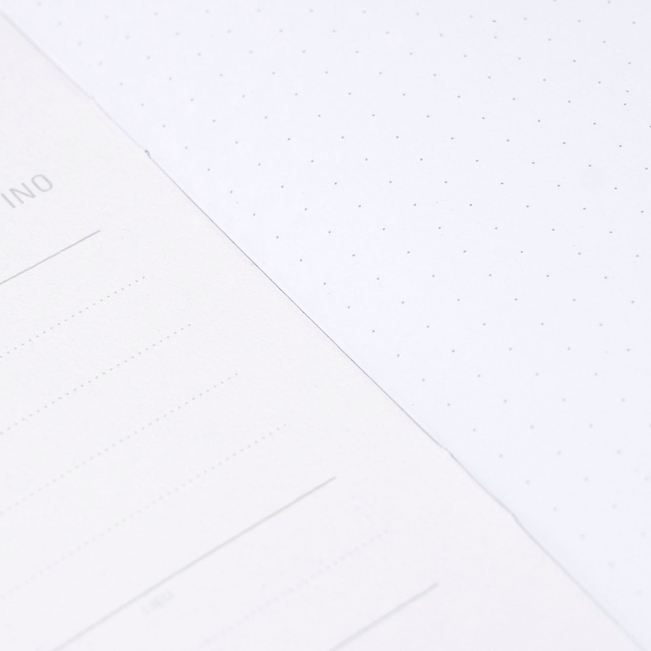 Calepino Notebook No. 4 Dot Grid Pocket Notebook Set of 3