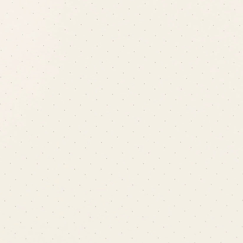 Papier Tigre Mezcal Notebook A5 Dot Grid