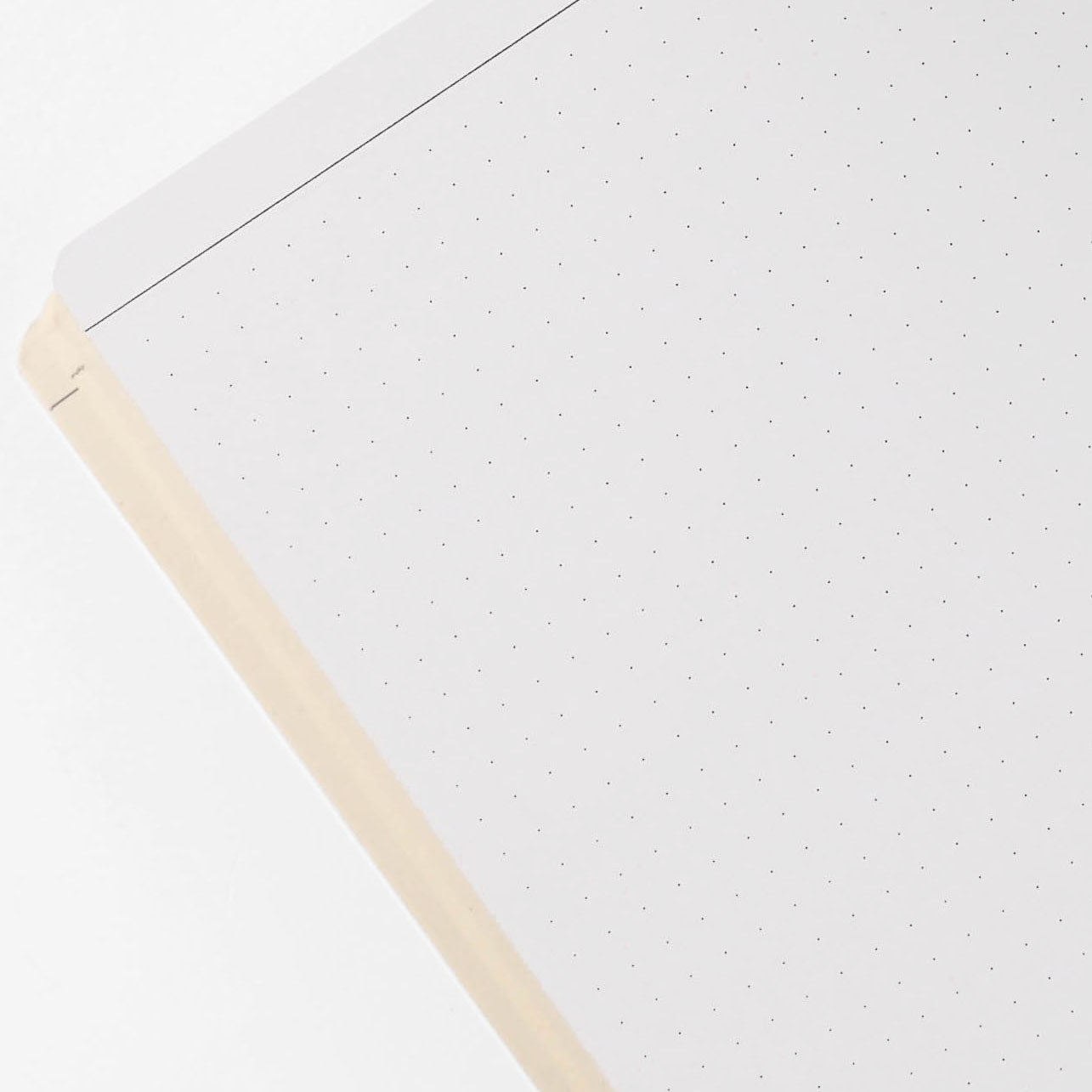 Papier Tigre Mezcal Notebook A5 Dot Grid