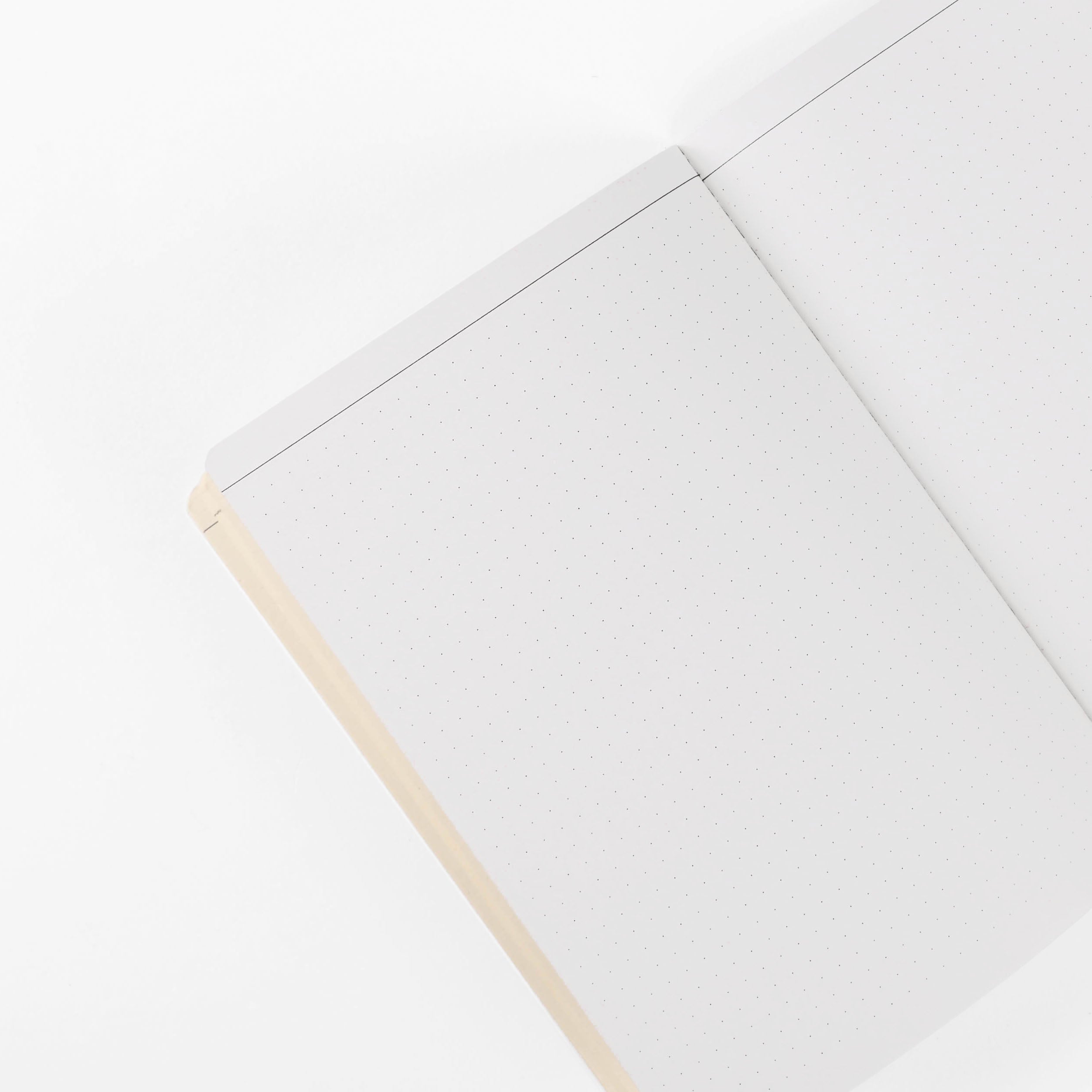 Papier Tigre Mezcal Notebook A5 Dot Grid