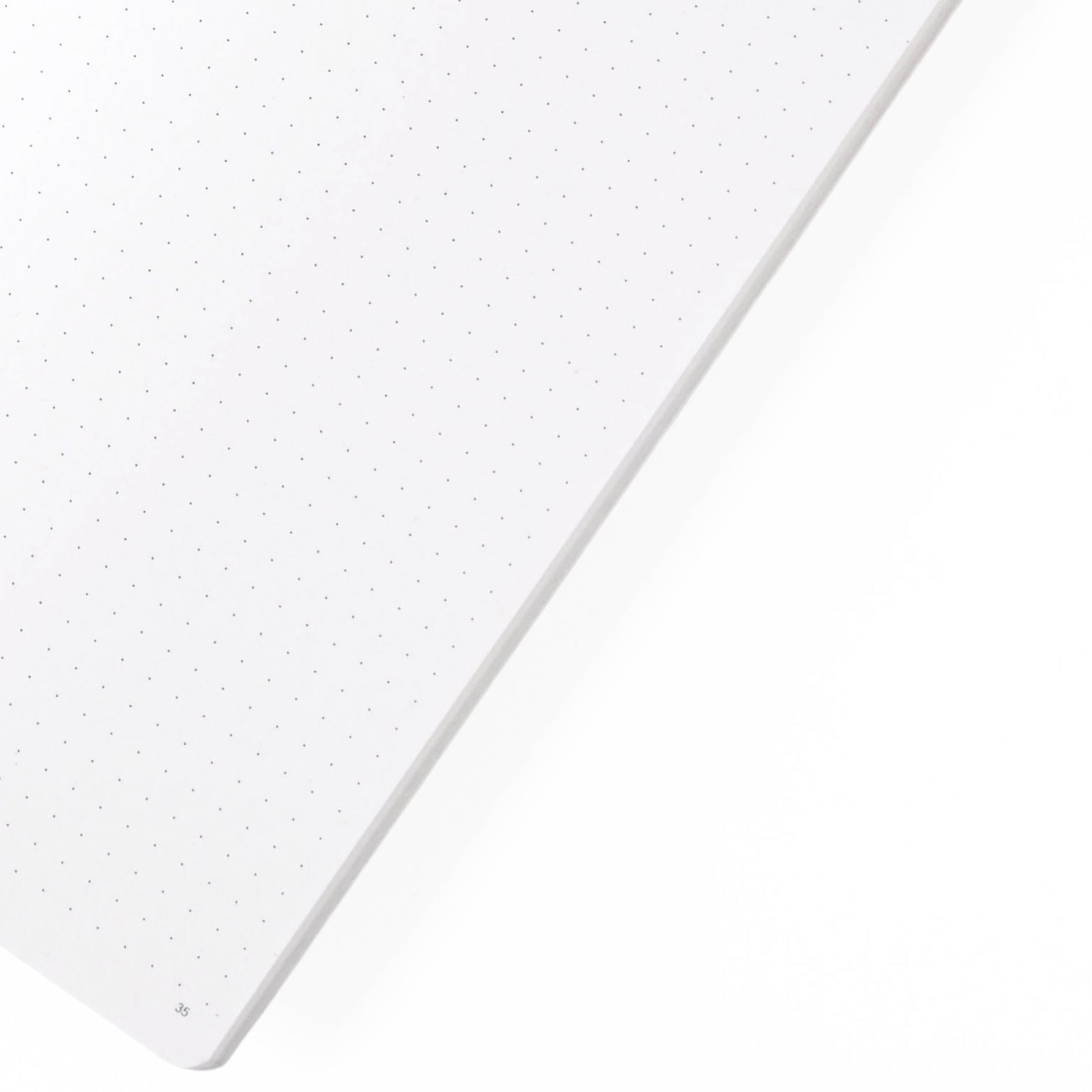 Papier Tigre Pacifique Notebook A5 Dot Grid