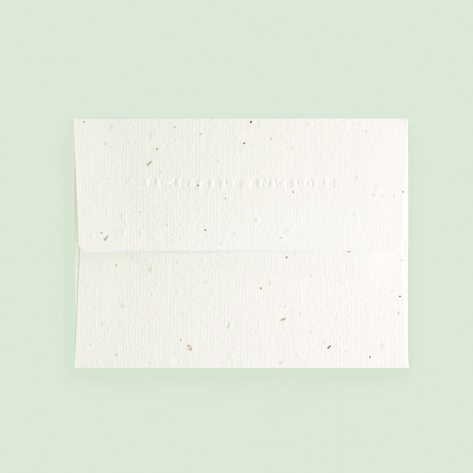 Seedlings Just to Say Hi Greeting Card With Plantable Envelope