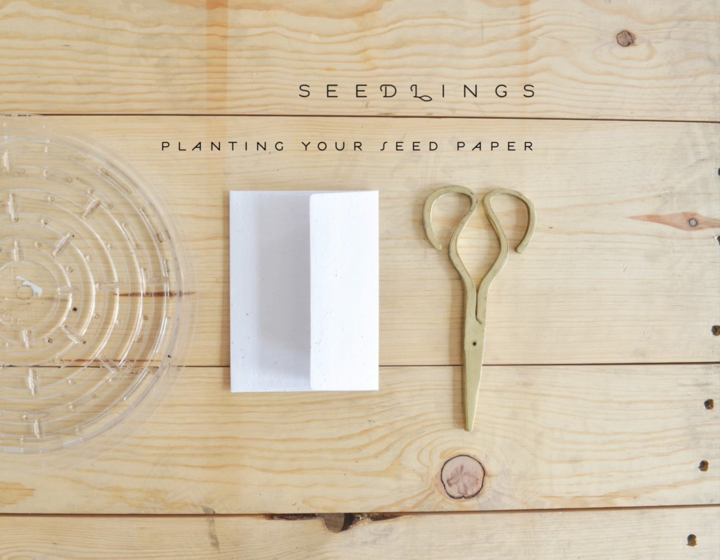 Seedlings The Met Greeting Card With Plantable Envelope