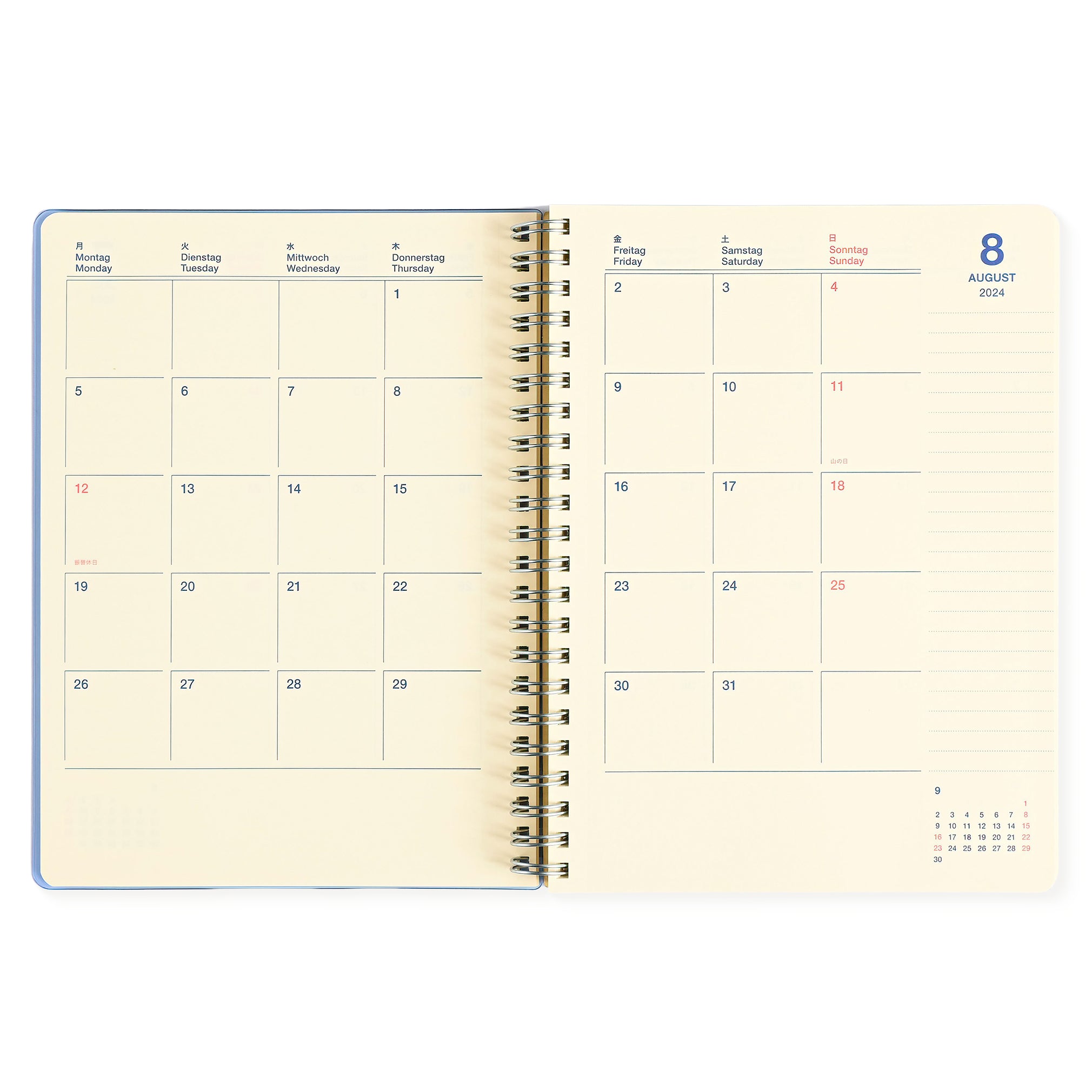Delfonics Rollbahn 2024 Monthly Planner Clear Large Or A5 | Blue, Green, Silver Or Pink