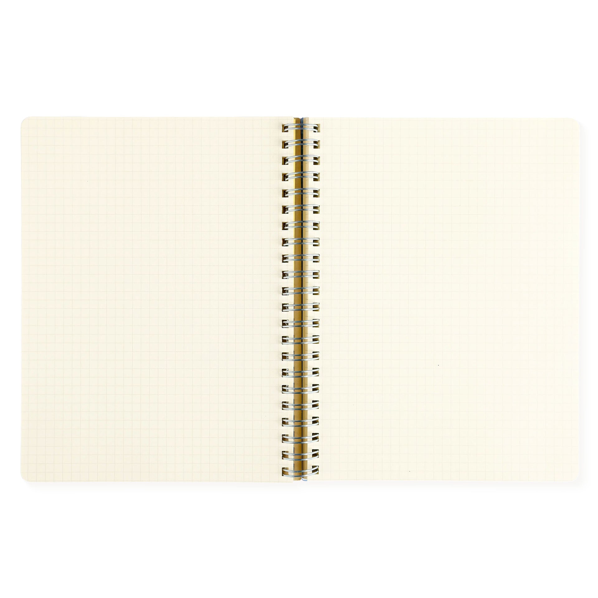 Delfonics Rollbahn 2024 Monthly Planner Clear Large Or A5 | Blue, Green, Silver Or Pink