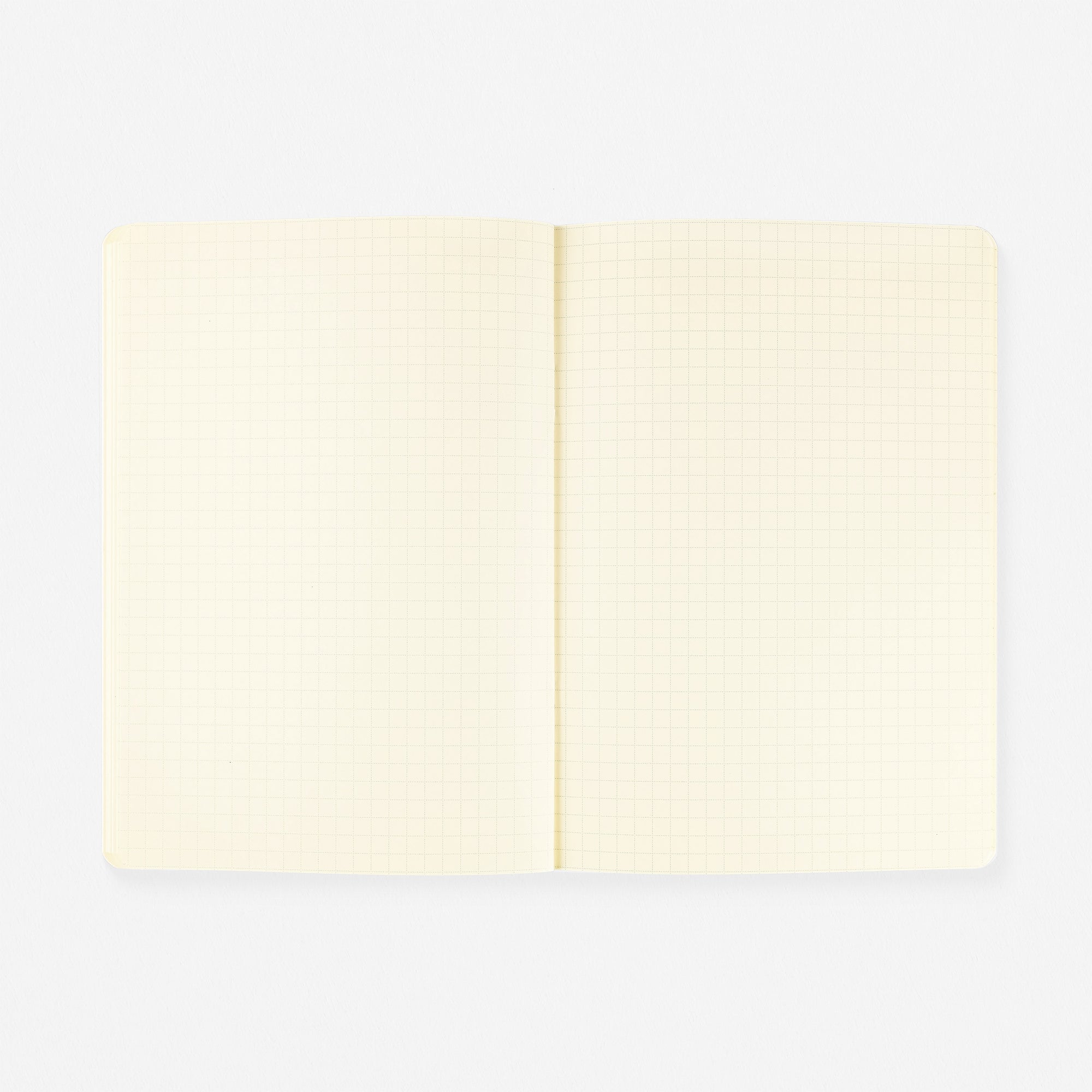 Delfonics Rollbahn 2025 Monthly Planner Notebook Clear B6 Or A5 | Clear Blue, Clear Or Clear Pink