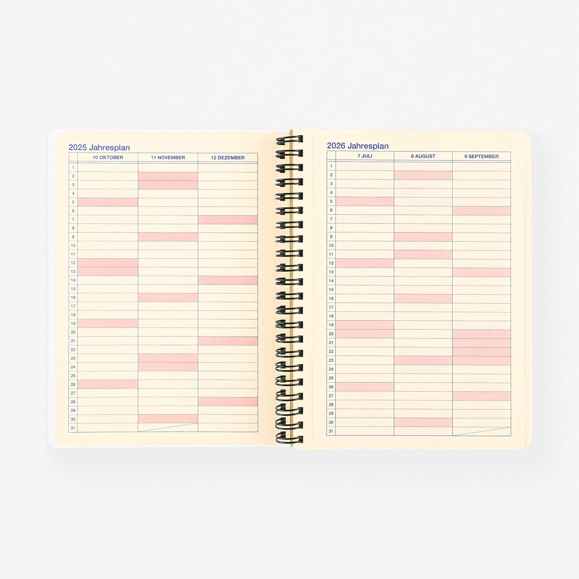 Rollbahn 2026 Monthly Planner Metallic Silver | Large Or A5