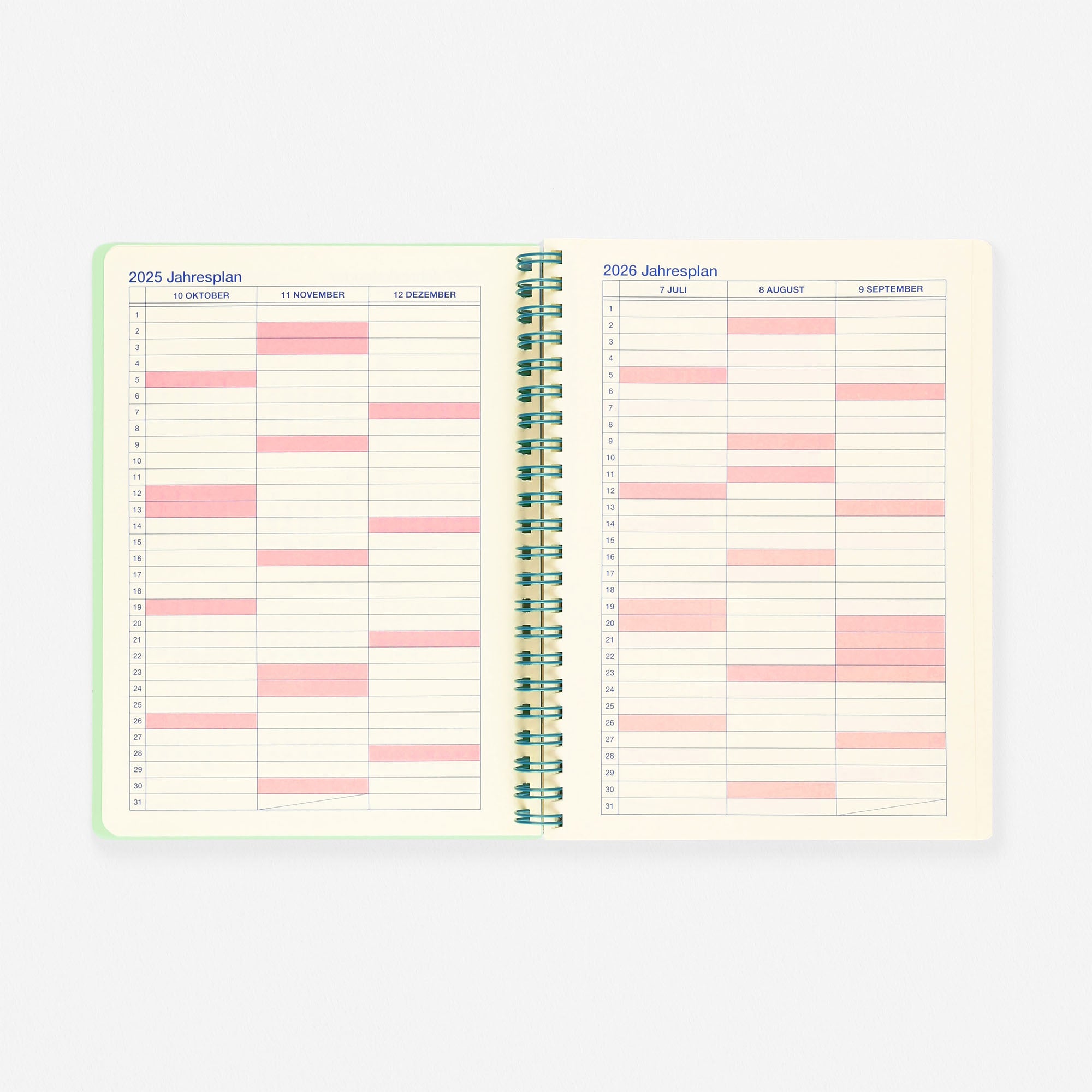 Delfonics Rollbahn 2026 Clear Monthly Planner Green | Medium, A5 Or Slim
