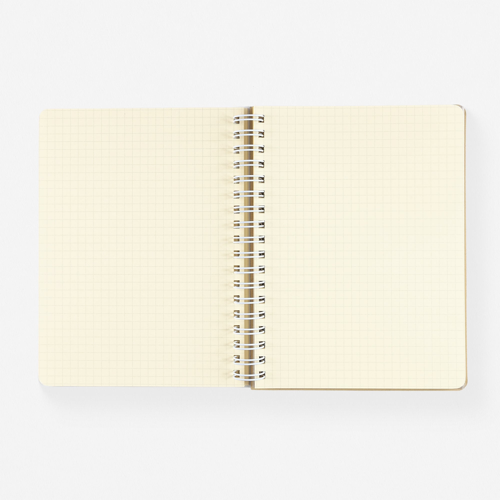 Delfonics Rollbahn 2025 Calando Monthly Planner Medium Or Large | 3 Colorways