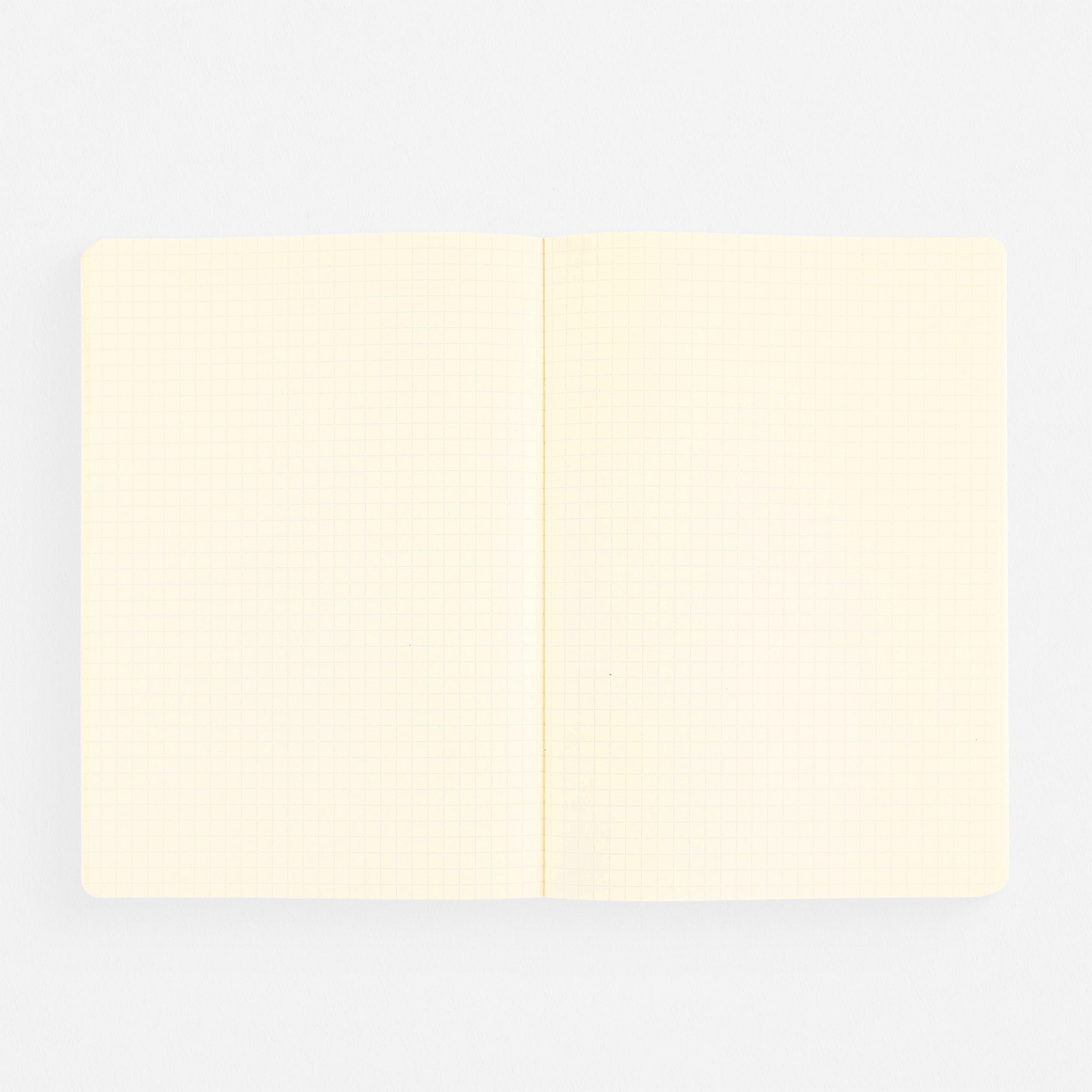 Delfonics Rollbahn 2024 Monthly Planner Note Clear A5 | Clear Pink, Clear Or Clear Blue