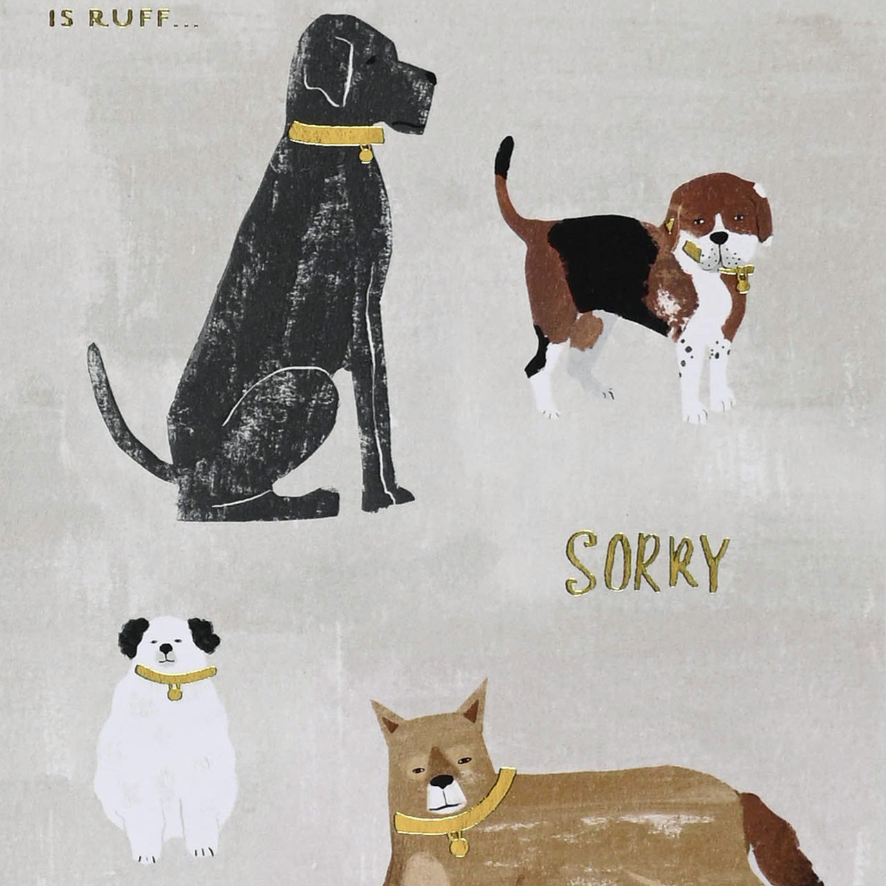 Seedlings I Know This Is Ruff Pet Sympathy Card With Plantable Envelope