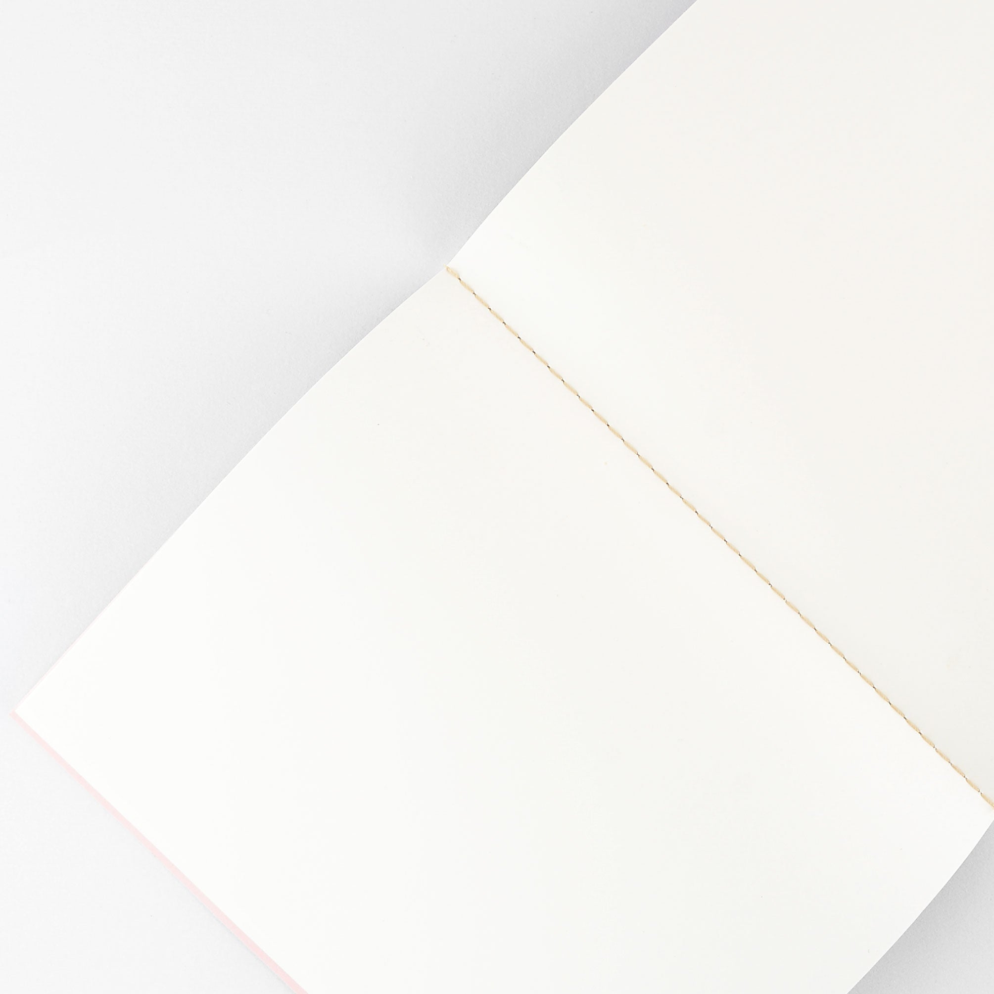 Wit & Delight Wit & Delight Classic Notebook Pink & Green