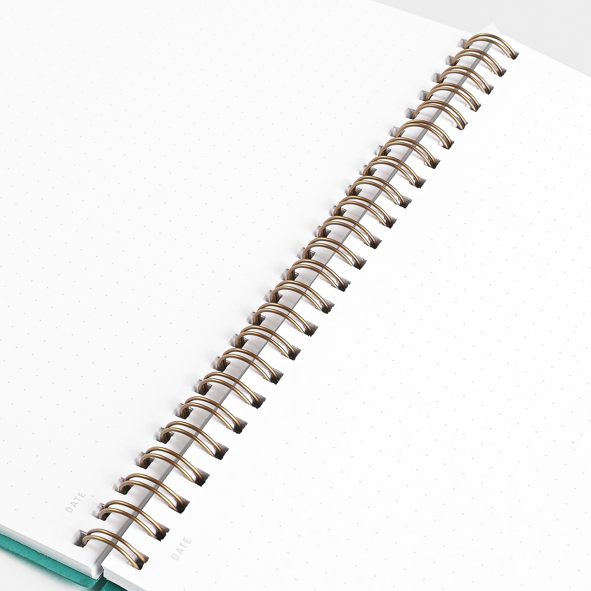 Calepino Greer x Calepino Dot Grid Notebook Turquoise
