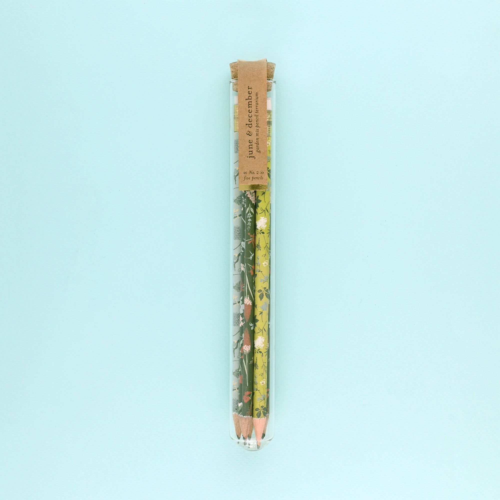 June & December Garden Mix Pencil Terrarium Set Of 5