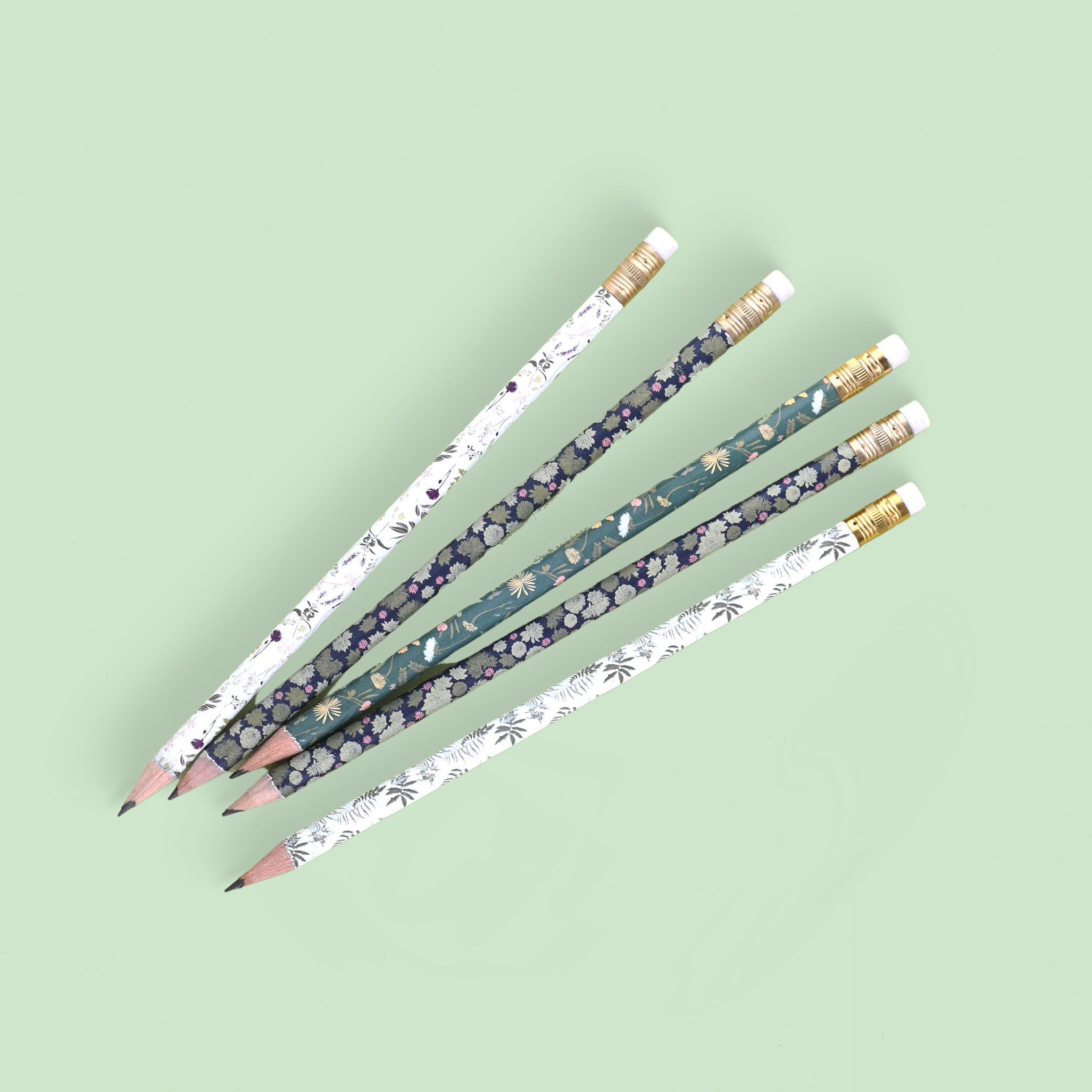 June & December Greenhouse Mix Pencil Terrarium Set Of 5