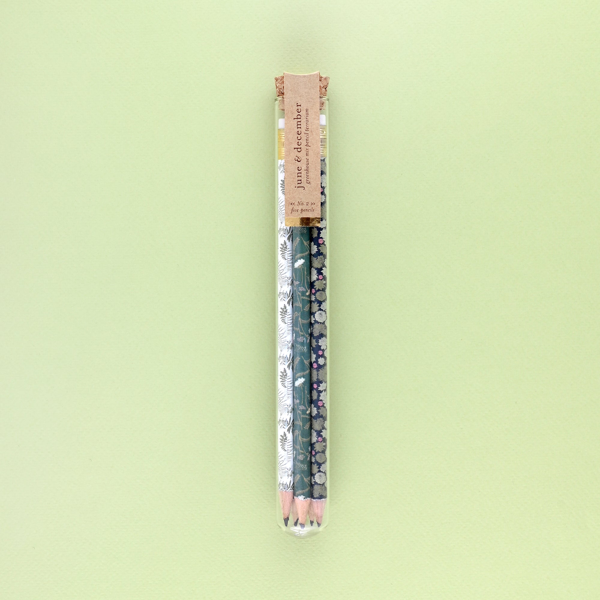 June & December Greenhouse Mix Pencil Terrarium Set Of 5