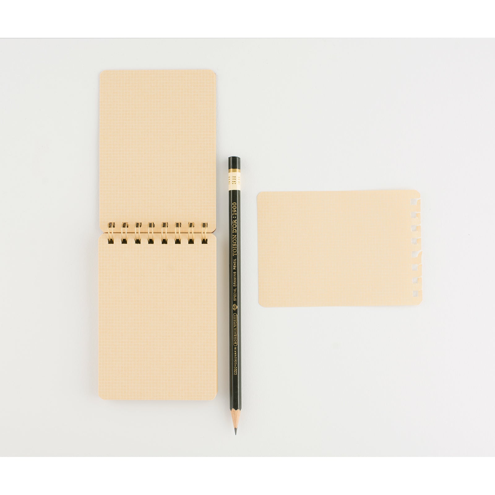 LIFE Kleid x LIFE Work Memo | In Four Colors