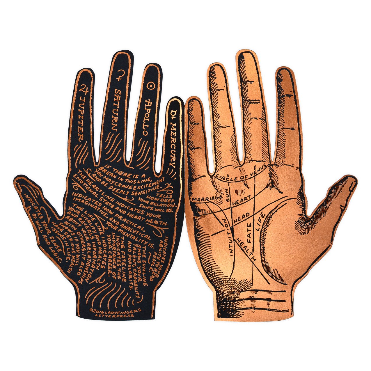 Ladyfingers Letterpress Palmistry Greeting Card