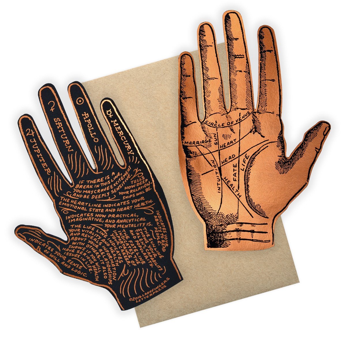 Ladyfingers Letterpress Palmistry Greeting Card
