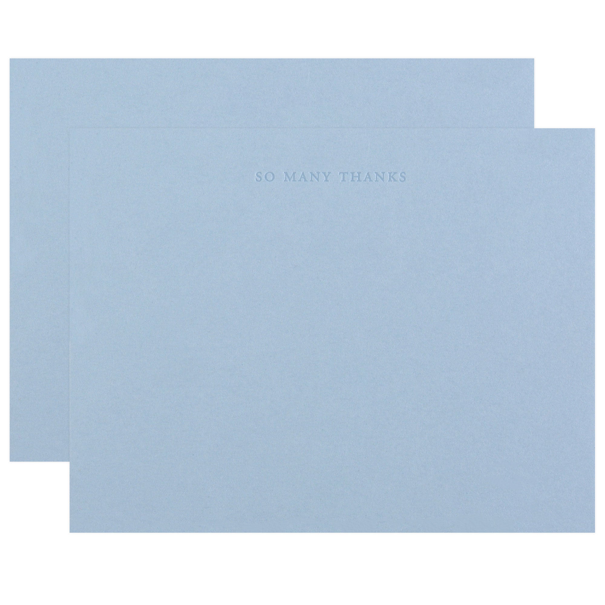 Little Well Paper Co. So Many Thanks Flat Thank You Cards Boxed