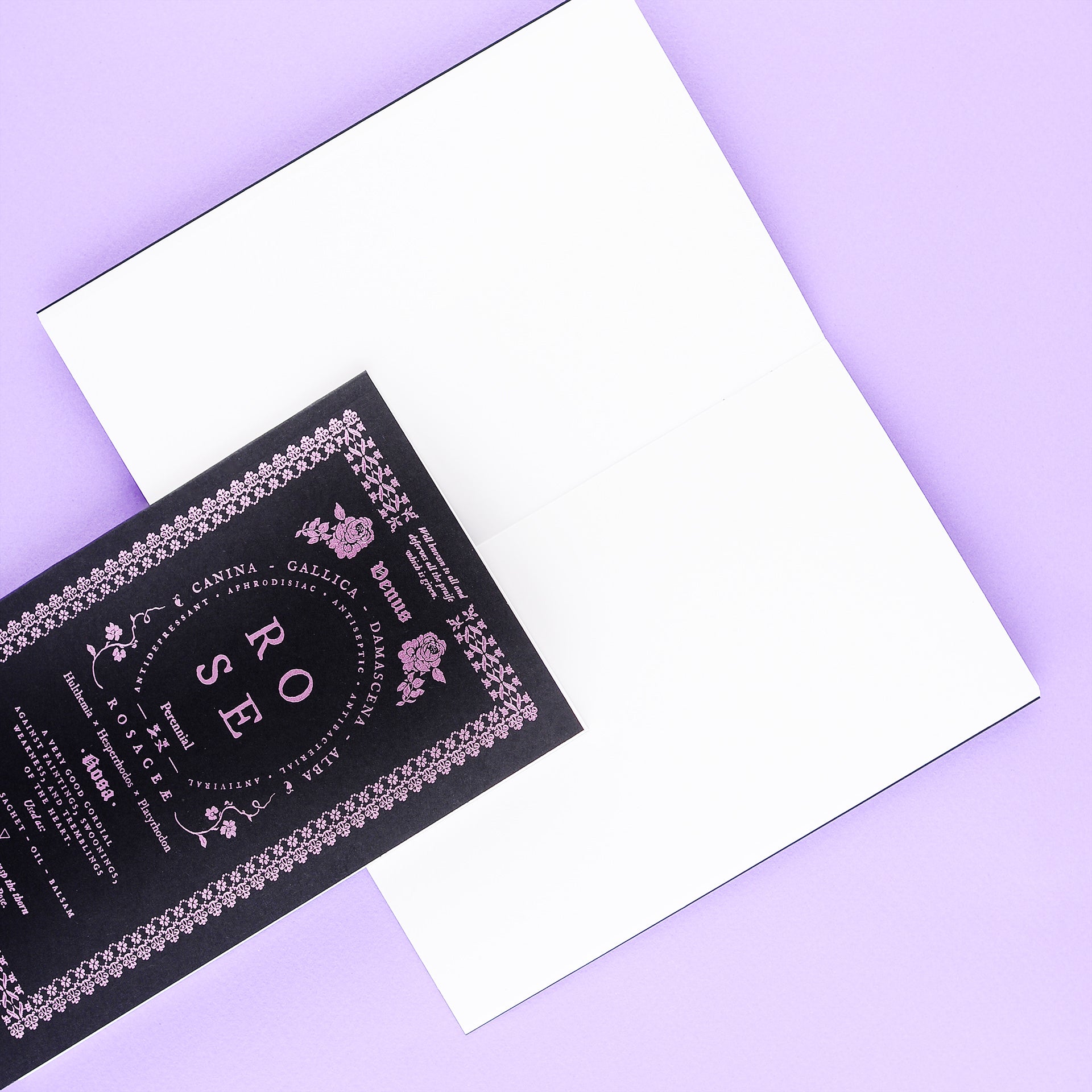 Open Sea Rose Notebook