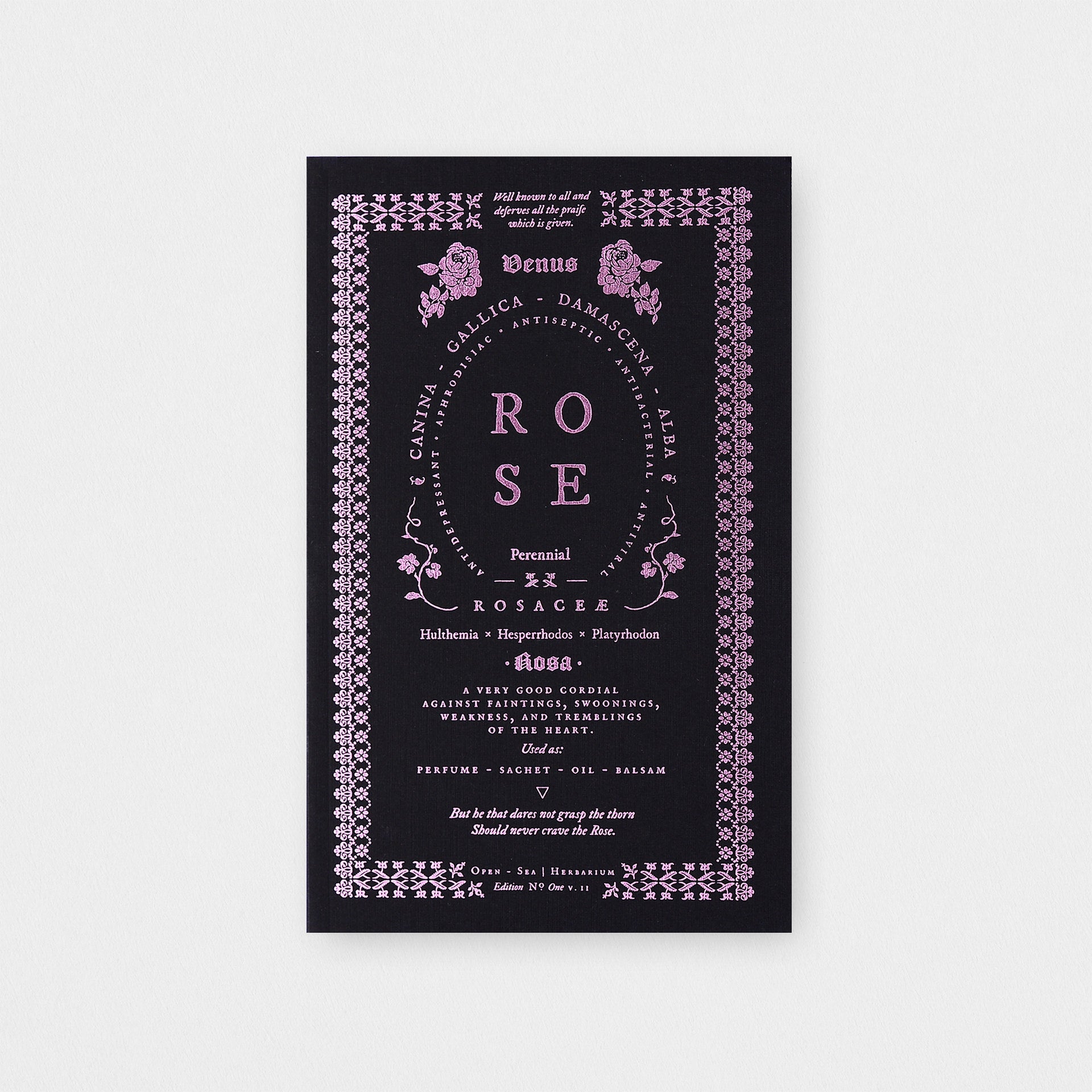 Open Sea Rose Notebook