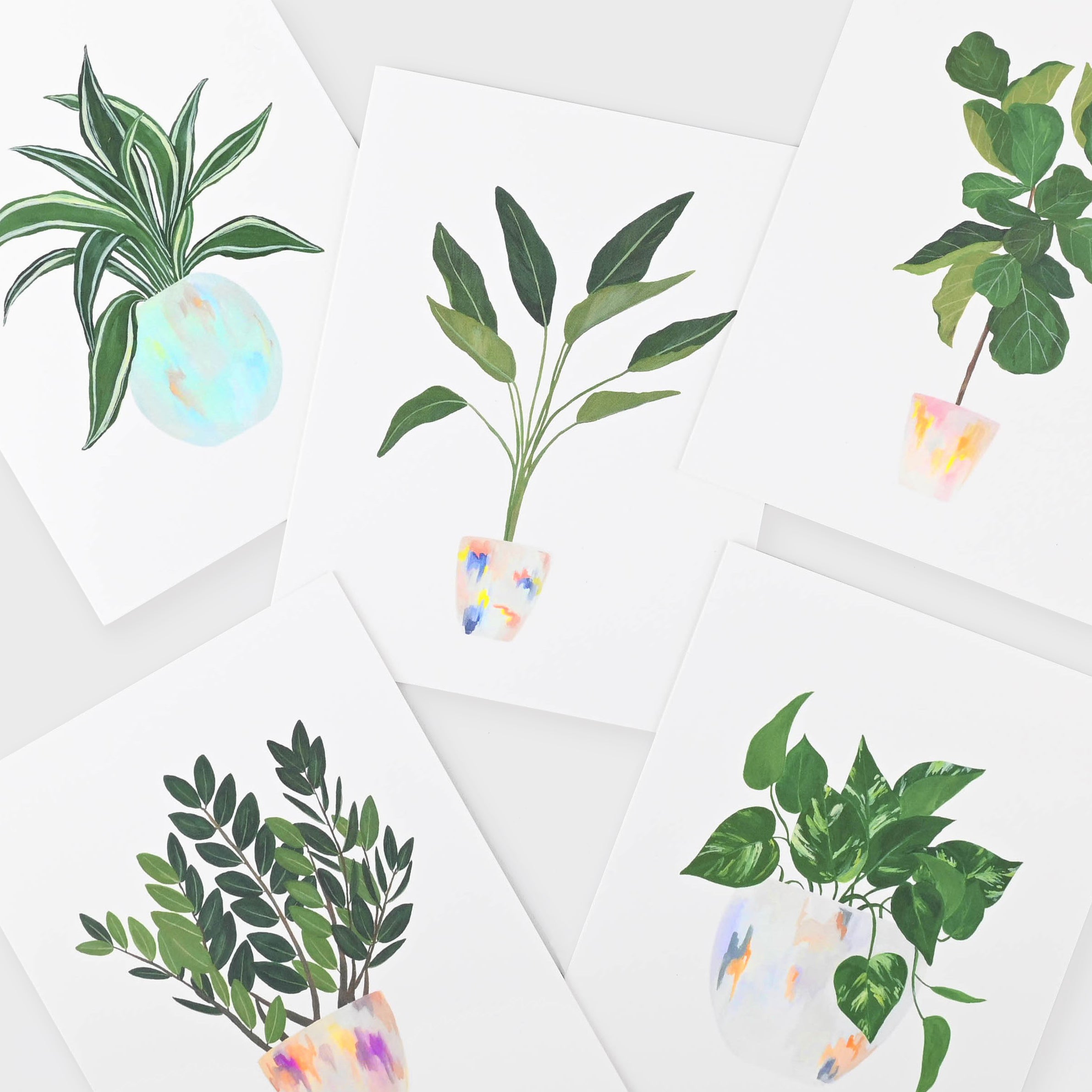 Our Heiday House Plant Series Assorted Folded Note Cards Boxed