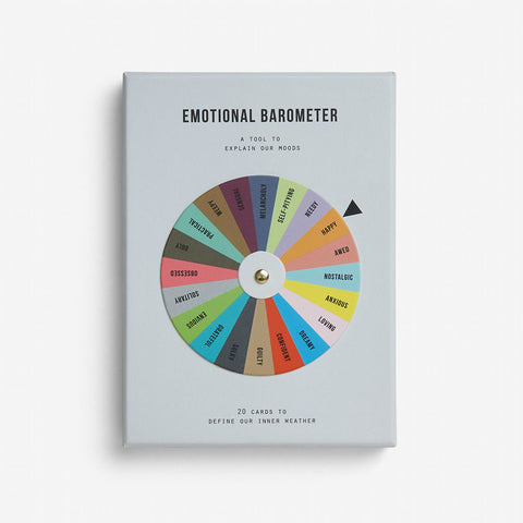 The School of Life Emotional Barometer | A Tool To Explain Our Moods 