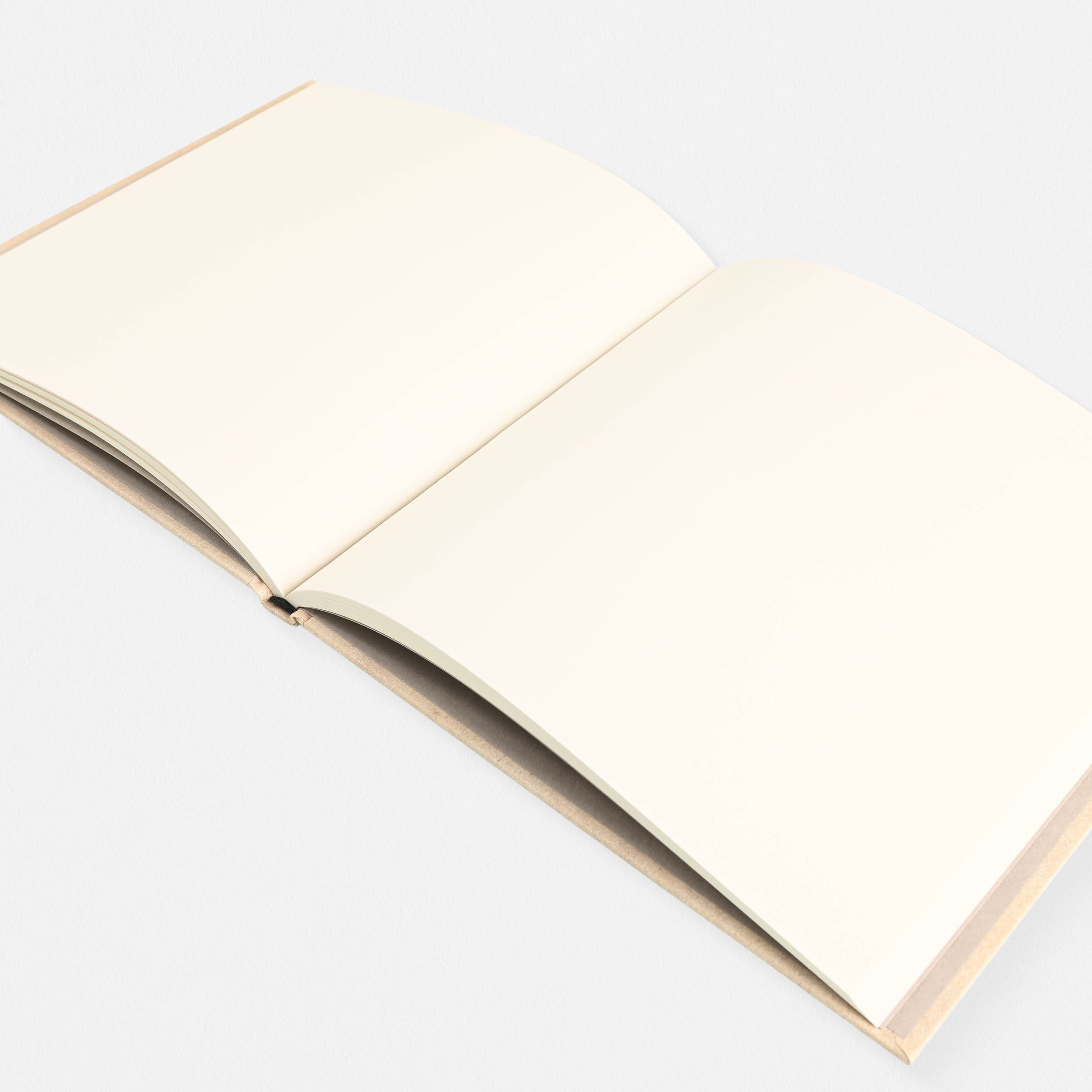 Sutta The Art Institute of Chicago Architecture Notebook