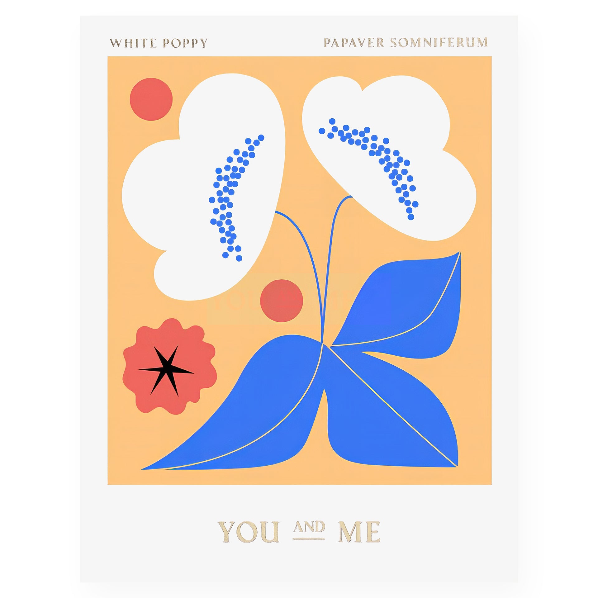 Nineteen Seventy Three White Poppy You and Me Greeting Card