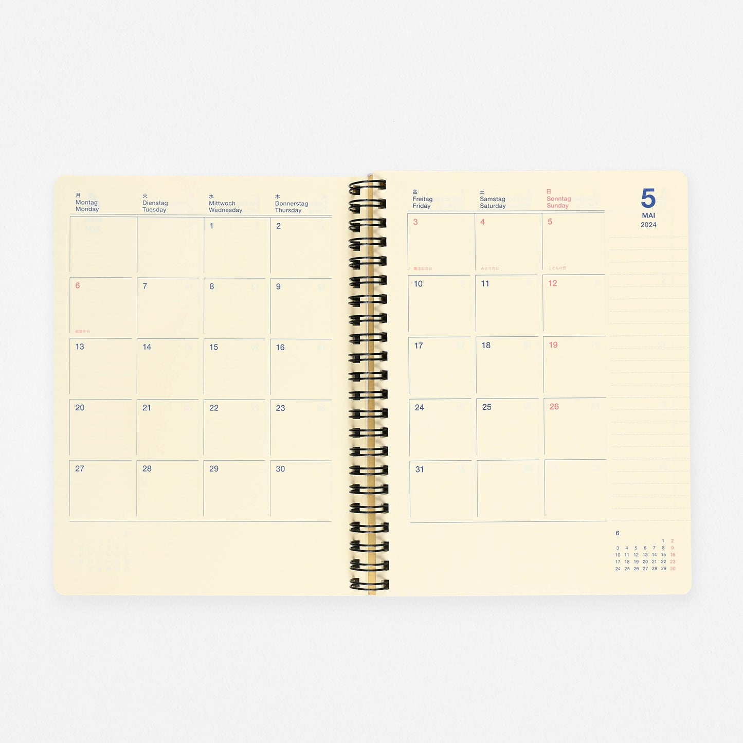 Delfonics Rollbahn 2024 Monthly Planner Hologram | Medium Or Large 