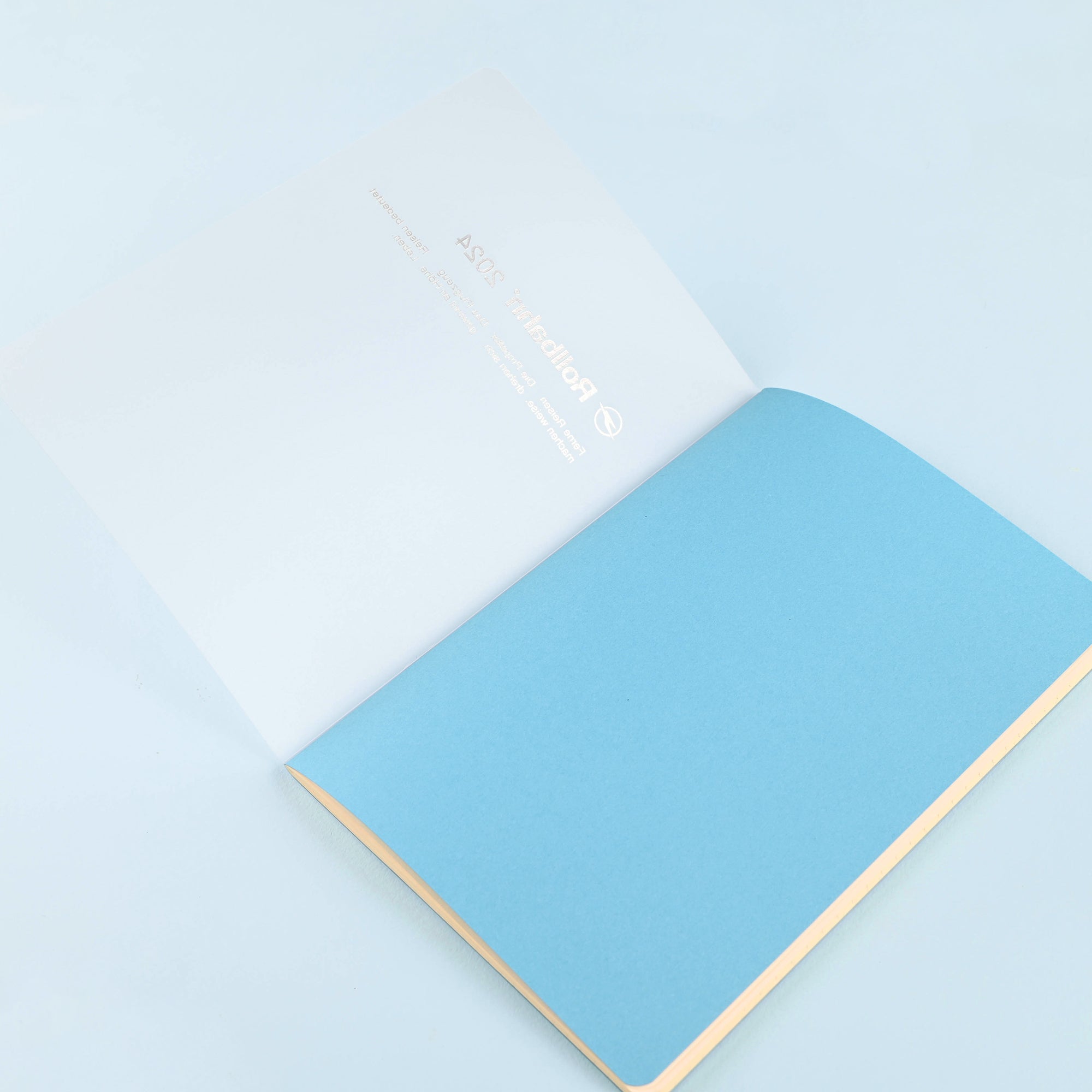 Delfonics Rollbahn 2024 Monthly Planner Note Clear A5 | Clear Pink, Clear Or Clear Blue 