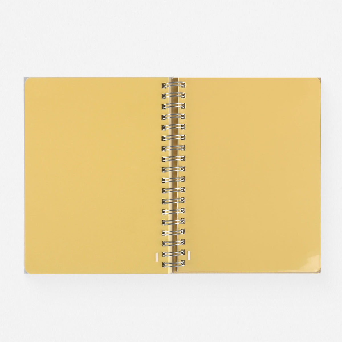 Delfonics Rollbahn 2024 Monthly Planner Clear Large Or A5 | Blue, Green, Silver Or Pink 