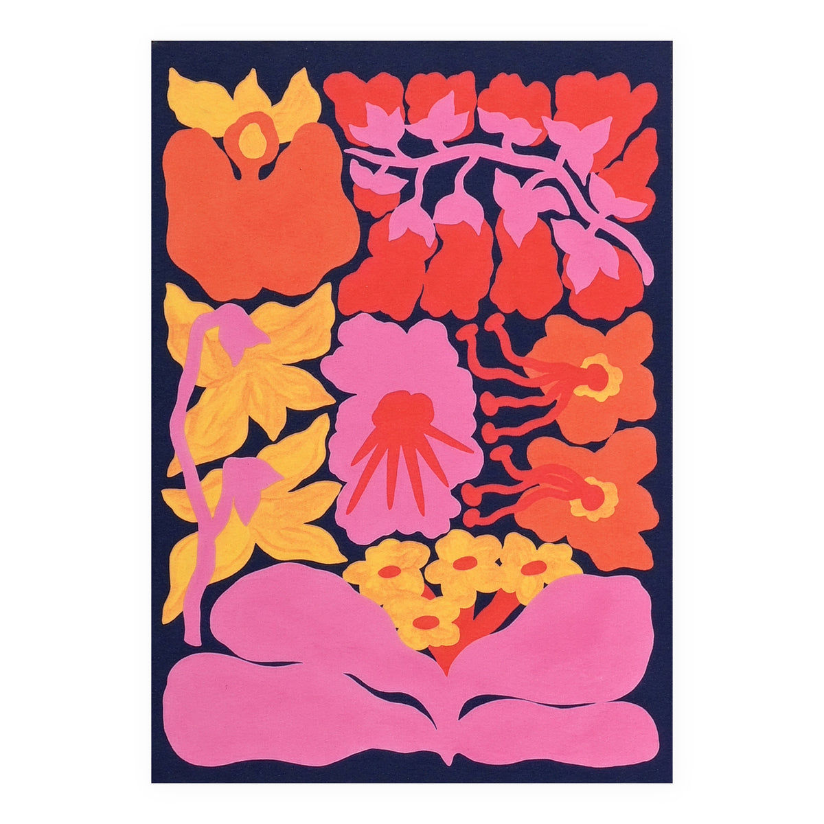 Orchids Of The Amazon Greeting Card