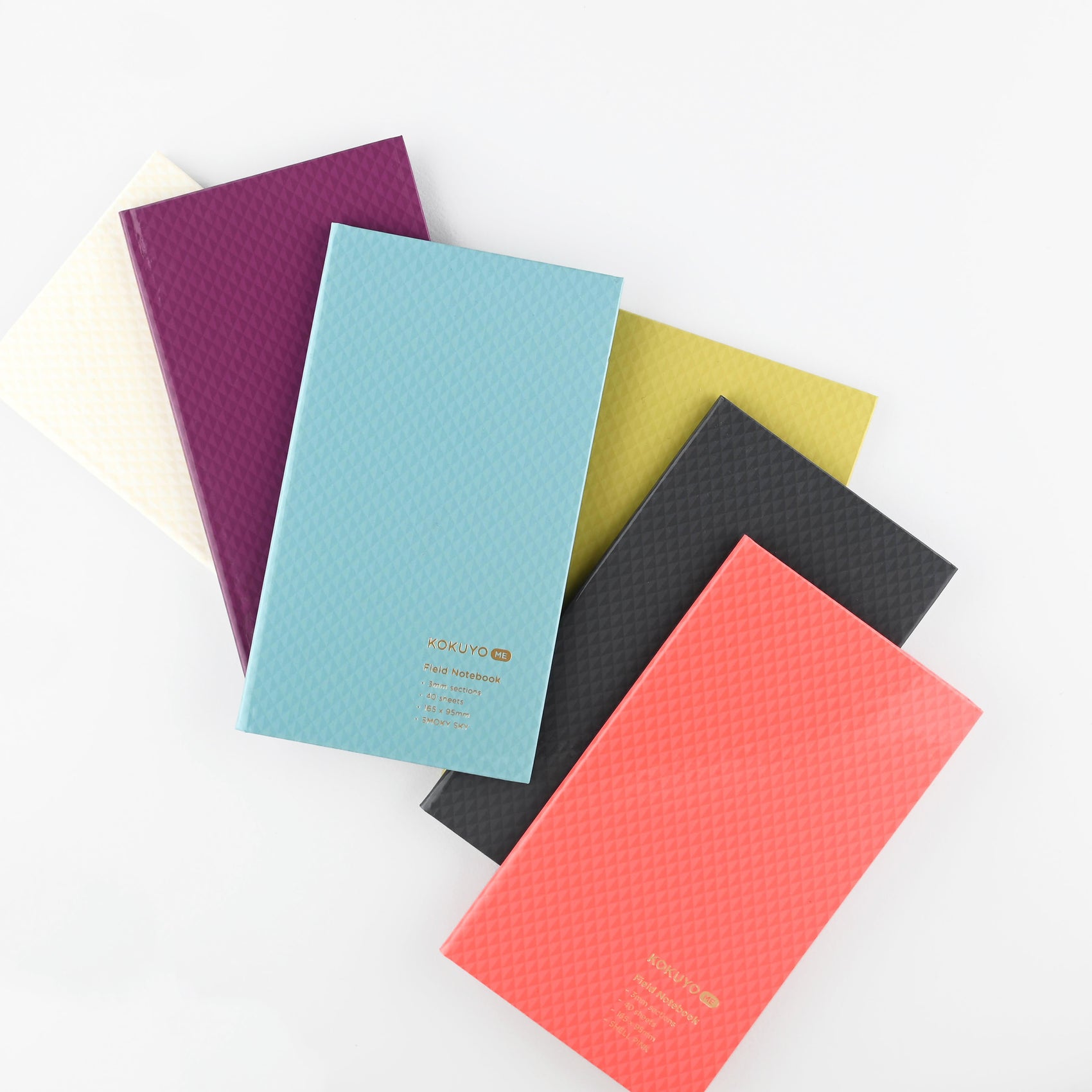 Field Notebook | 6 Colors