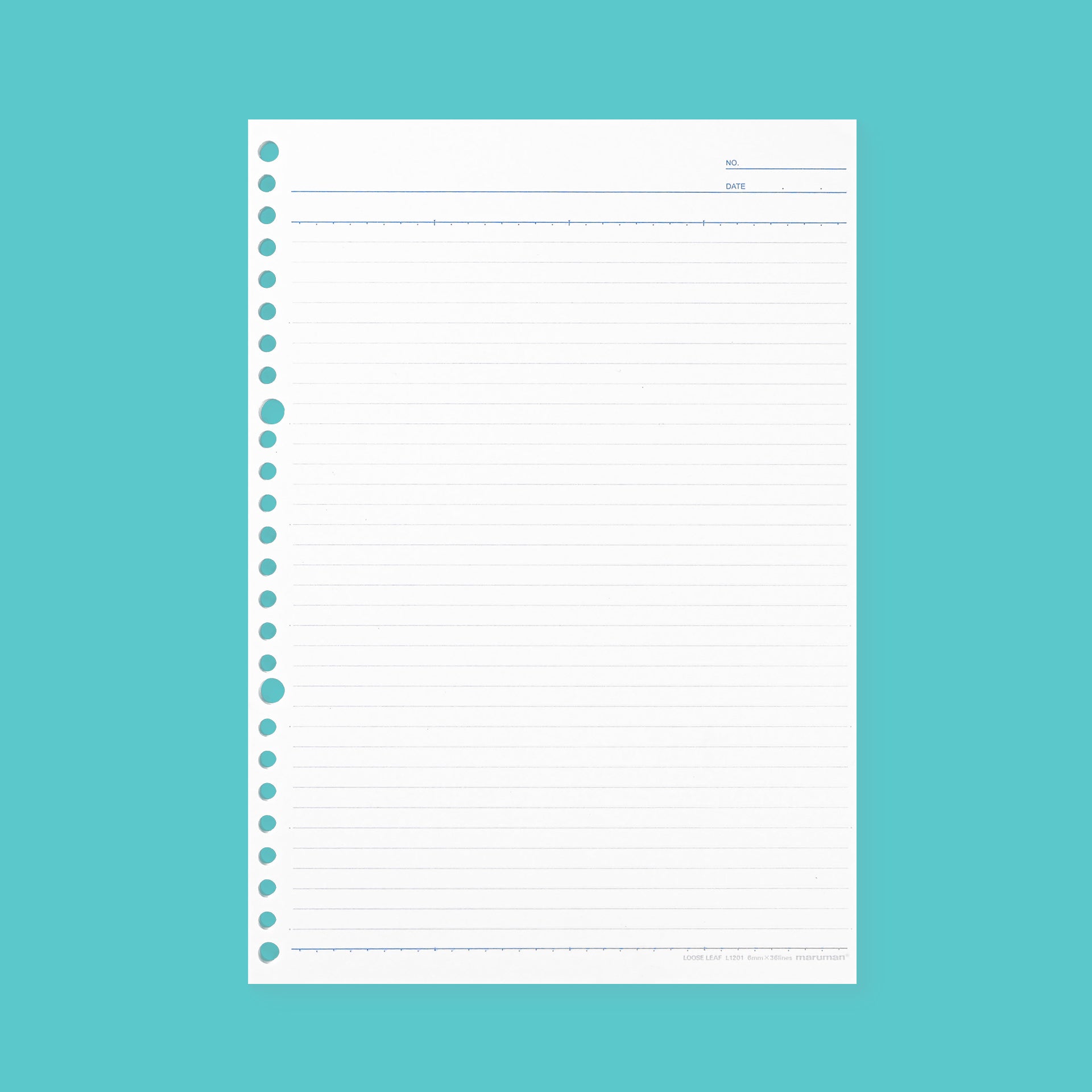 Maruman Loose Leaf "Easy To Write" Notepad B5 | Ruled or Graph 