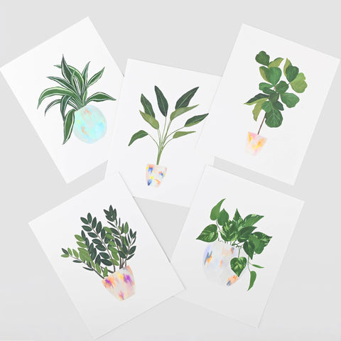 House Plant Series Assorted Folded Note Cards