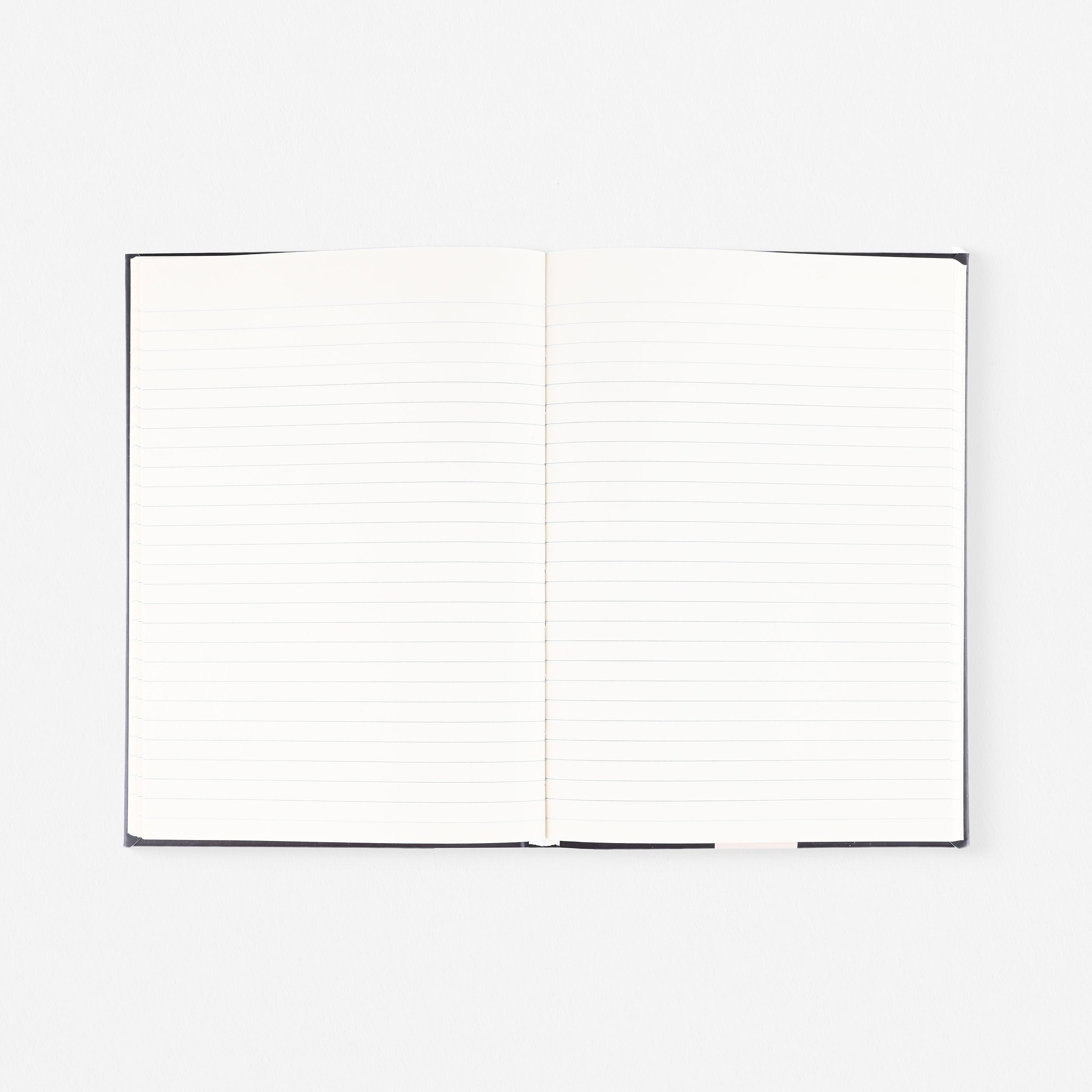 Papier Beetles Notebook Lined 