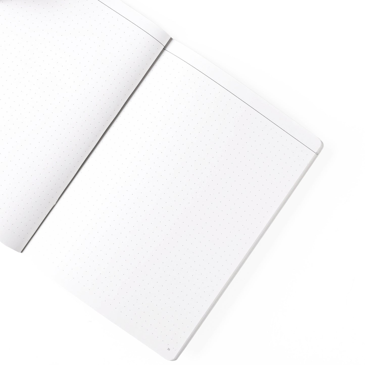 Papier Tigre Infusé Notebook A5 Dot Grid 