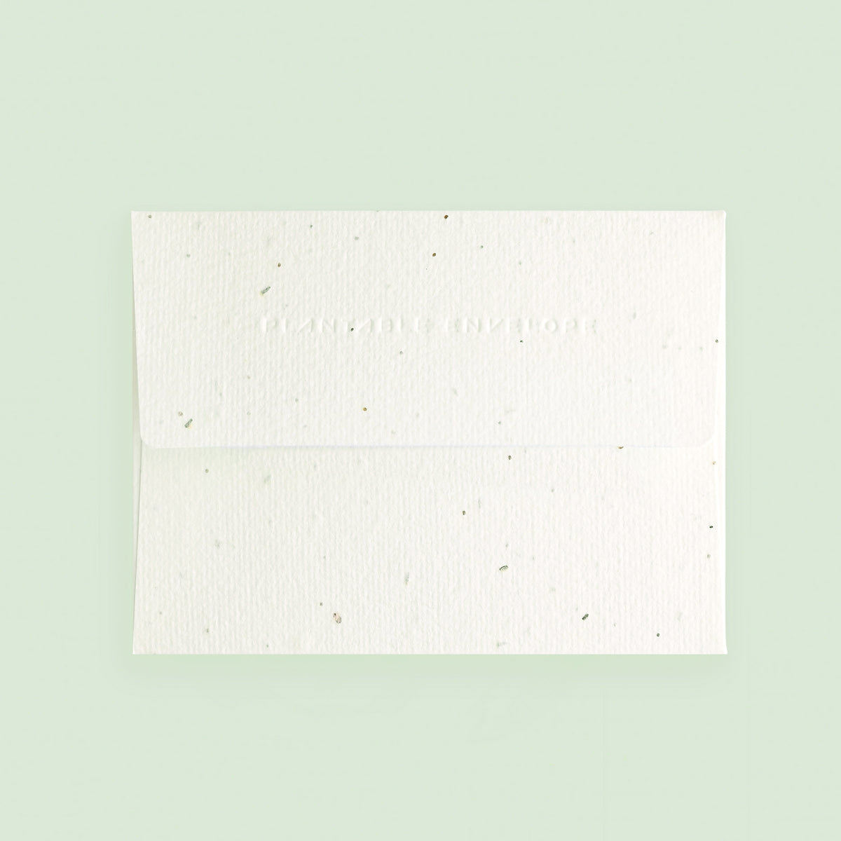 Seedlings Pink Ranunculus Greeting Card With Plantable Envelope 