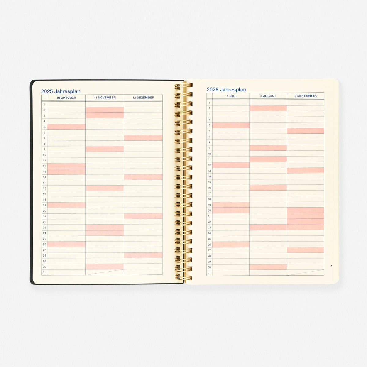 Delfonics Rollbahn 2026 Homme Monthly Planner Olive A5