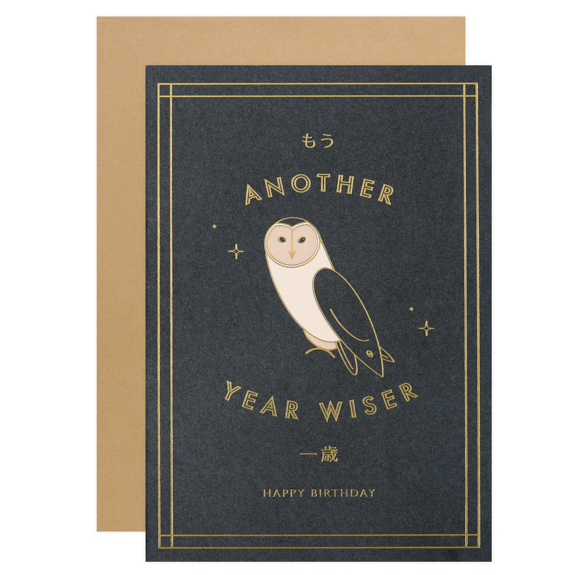 À L'aise Another Year Wiser Birthday Card 
