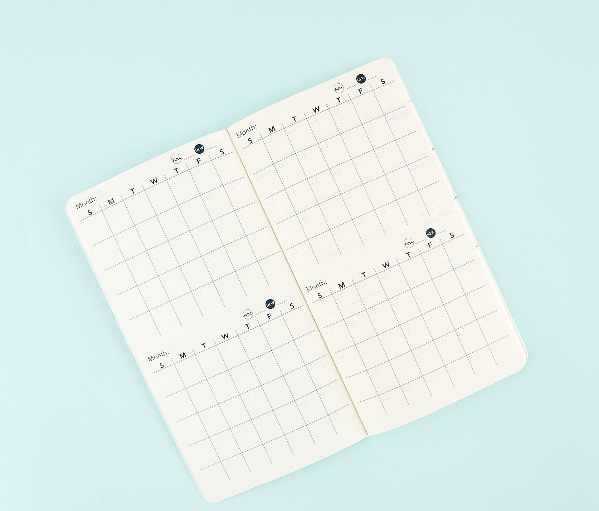 Blackbird Letterpress Zora Neale Hurston Weekly Planner Undated 