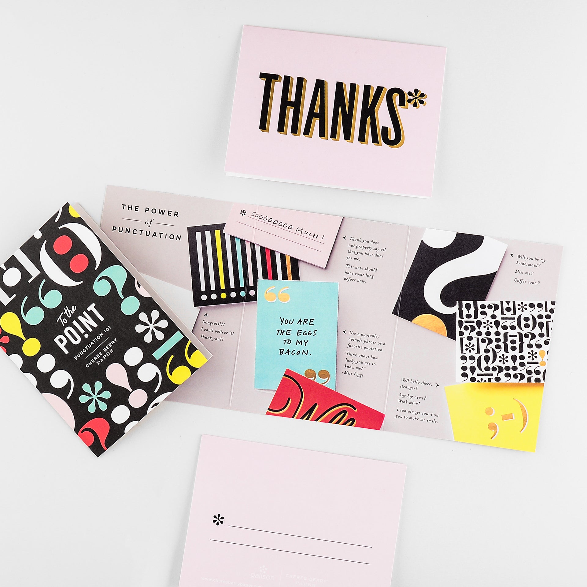 Cheree Berry Perfectly Punctuated Folded Note Cards Boxed Set 