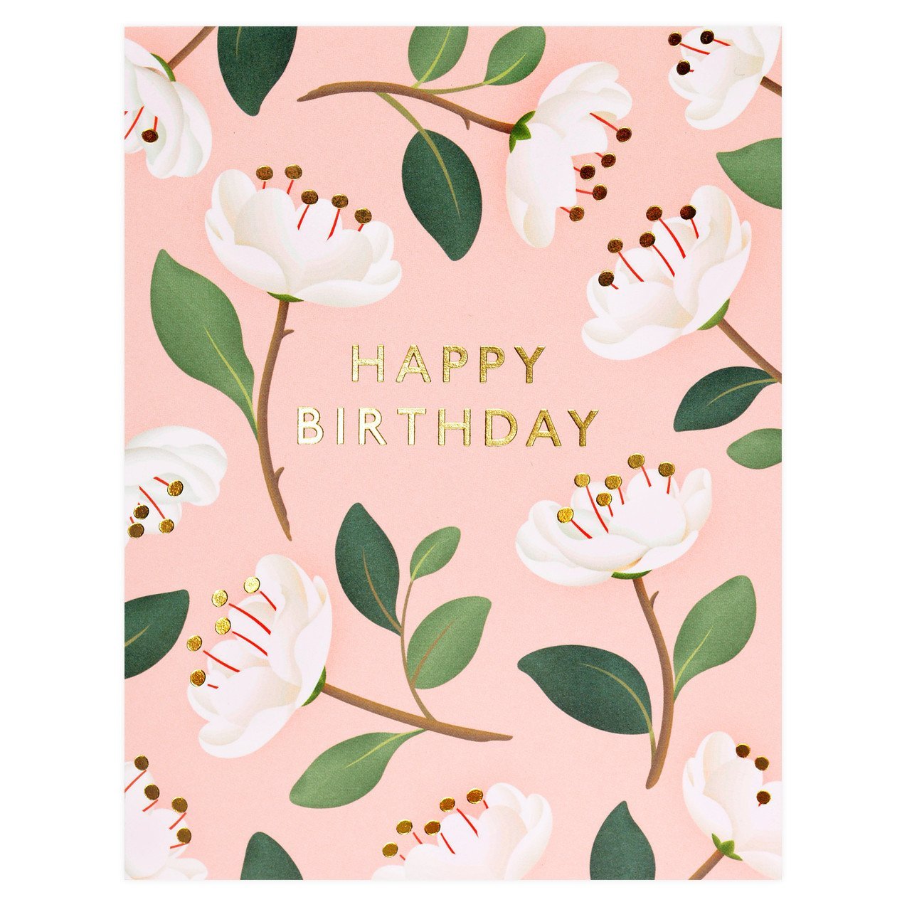 Clap Clap Magnolia Birthday Card Blush 